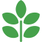 燕麦干草